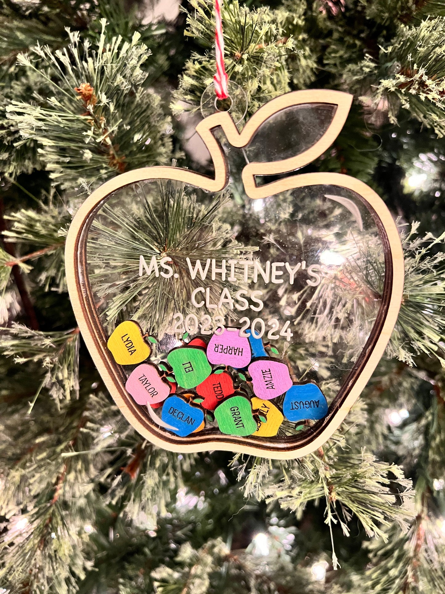 Teacher Apple Shaker Ornament