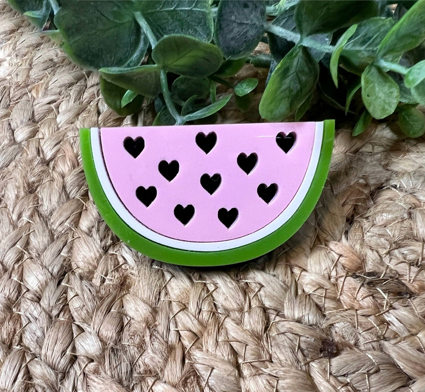 Watermelon Hair clips