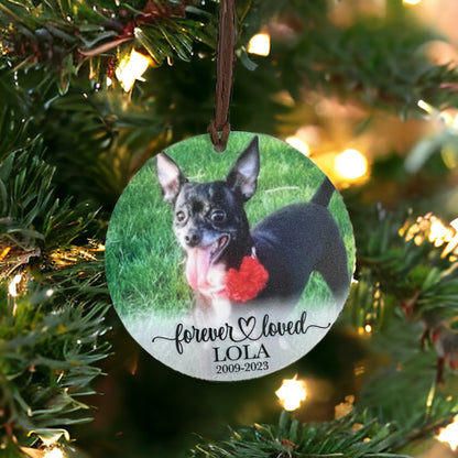 Pet memorial UV printed ornament