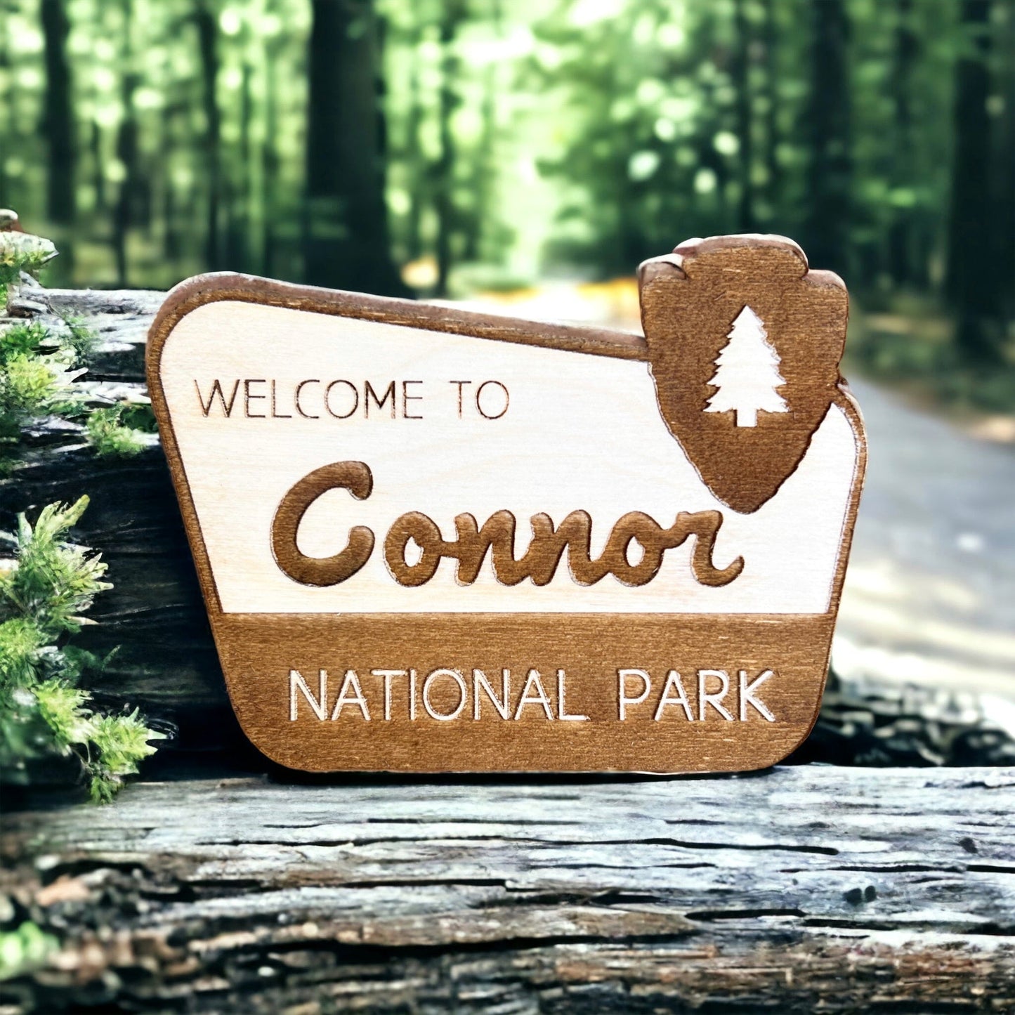 National Park Name sign