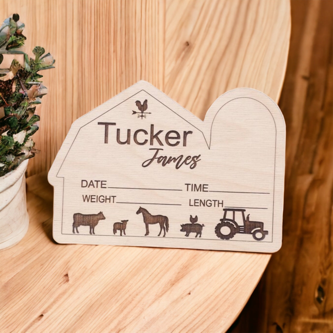 Barn Baby name sign